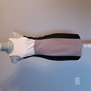 NWT express bodycon color block dress